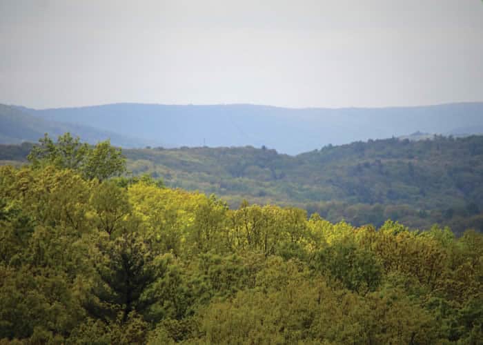 Mount Nebo