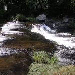 Brodhead Creek Falls video