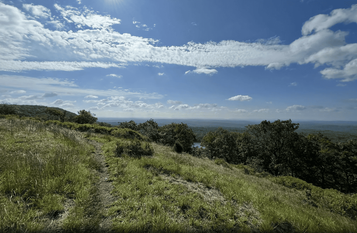 Mt. Wismer Trail