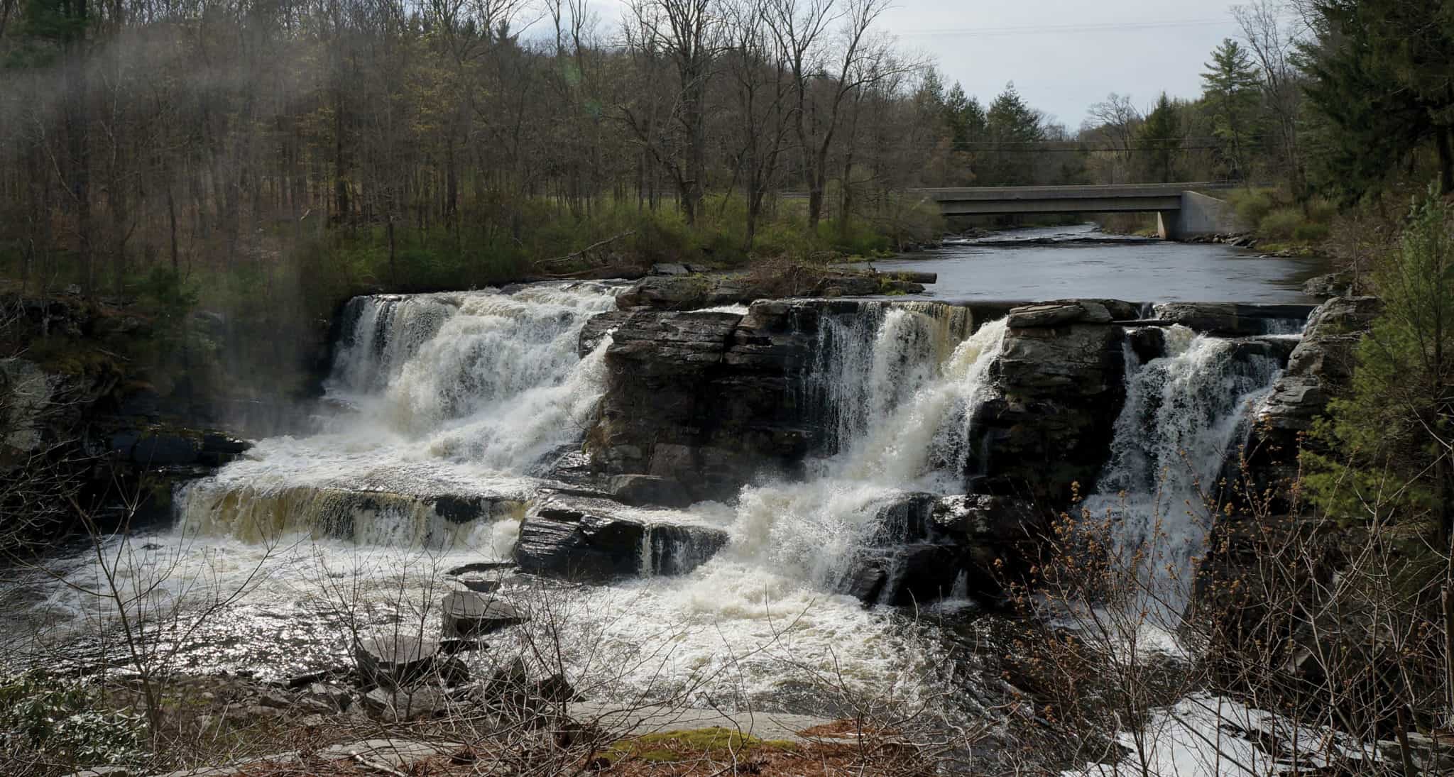 Resica Falls Conservation Easement Brodhead Watershed Association