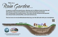 Rain Garden Diagram