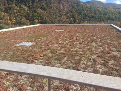 green roofs